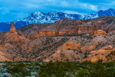 Mesquite