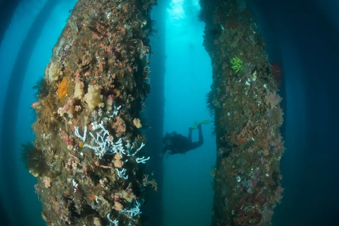 Hotel in zona Livingseas Bali
