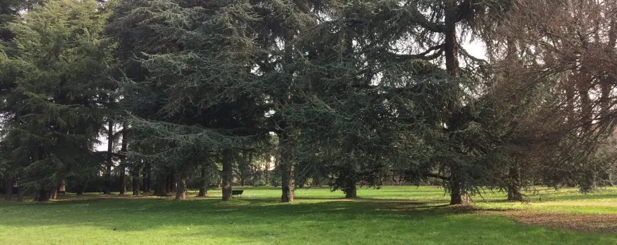 Parco Gussi e Villa Gussi