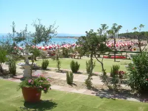 Lido Diamante Ristorante