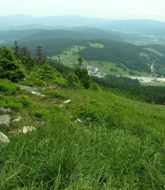 Czarna Gora