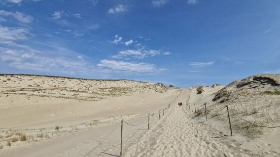 The Dead Dunes