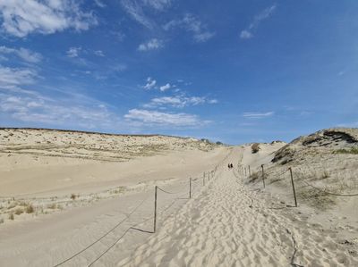The Dead Dunes
