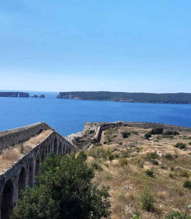 Pylos Nestor