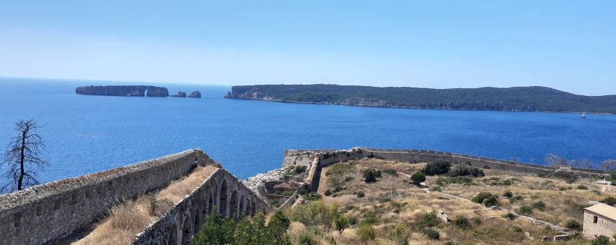 Pylos Nestor