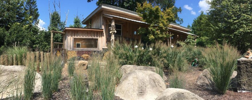 Ponds & Plants