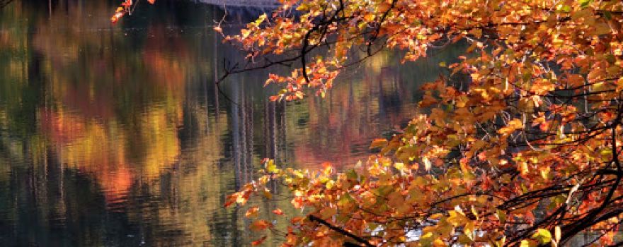 Trestle Trail