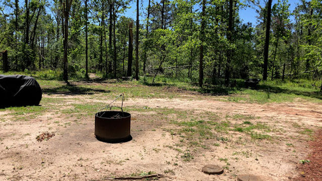 Ya Ya’s Lake Seminole RV Park