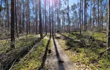 Super Mario XC Singletrack