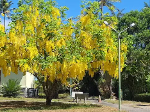 Centro Mariapolis Santa Maria