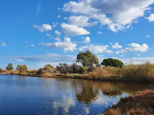 Alyki Wetlands Aigion