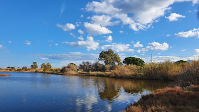 Alyki Aigio Wetlands