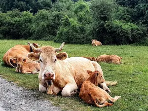 Túnel de San Adrián