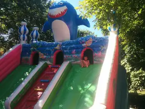 Parcul Central