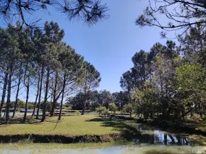 Camping Del Lago