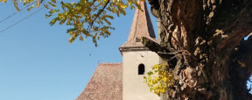 Biserica Fortificată