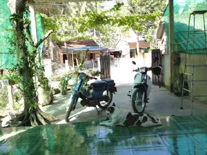 Công viên ngã 5 Tam Quan Bắc
