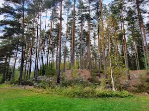 Laxtjärn