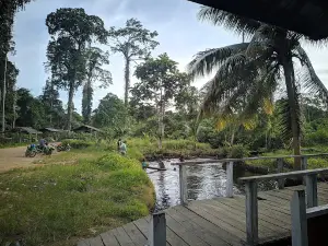 Wisata Air Panas Biatan