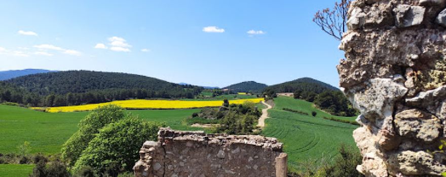 Caseriu de Feixes