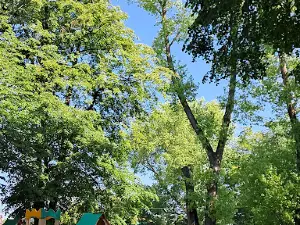 Park