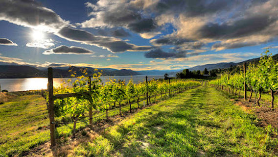 Moraine Estate Winery