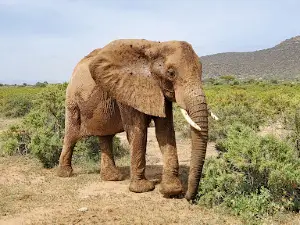 Samburu National Reserve Gate