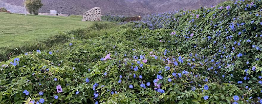 Wadi Al Helo park
