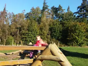 Gåsebjerg Sand Natureplayground