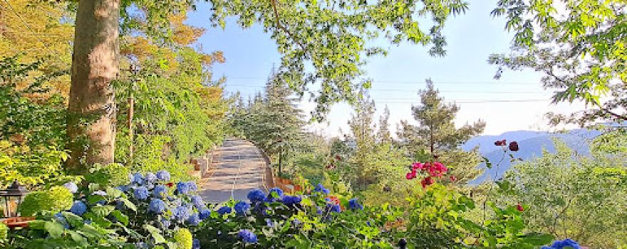 Το σπίτι με τις Ορτανσιες - Hydrangeas House