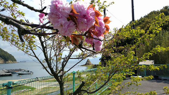 Kagawa District