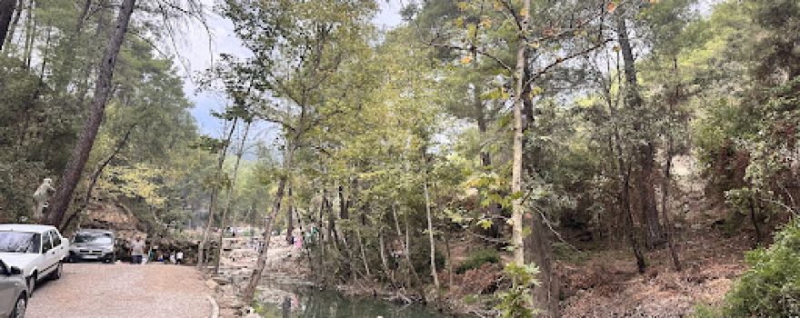 Yedigöze Milli Parkı - Piknik Alanı