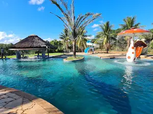 MS Tropical Paradise