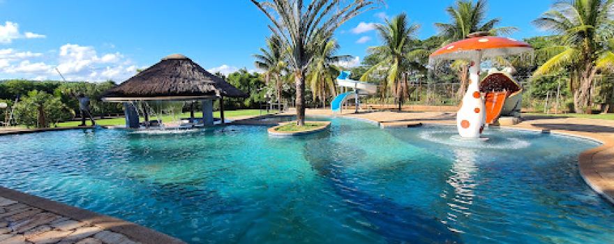MS Tropical Paradise