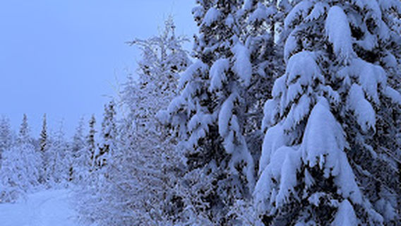 Fairbanks