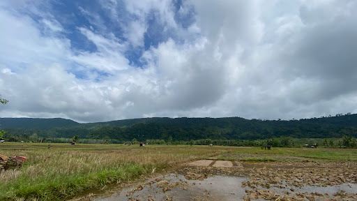View Sawah Garagata Jaro