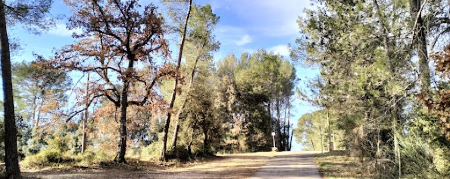 La Vigne à Vélo