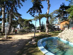 Çamlica Nature Park