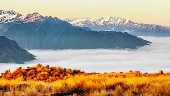 Mount Brown Hut