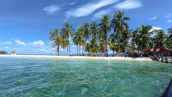 Achudub Dummad ,Perro Grande