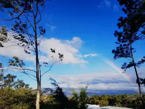 Mirador De La Palma