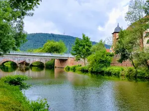 Campingplatz Saale-Insel