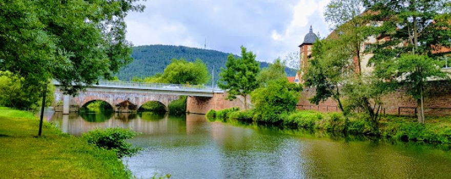 Campingplatz Saale-Insel