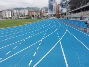 Söğütlü Athletics Stadium