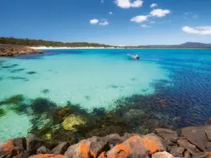 Maria Island