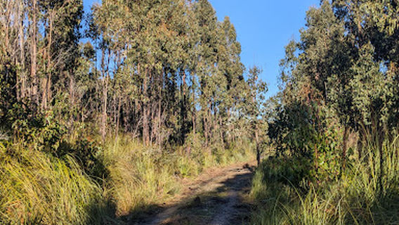 Geeveston