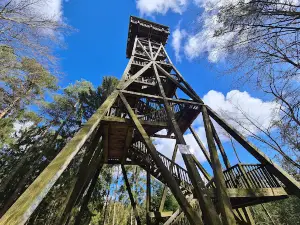 Lookout tower Hahnheide "Langer Otto"