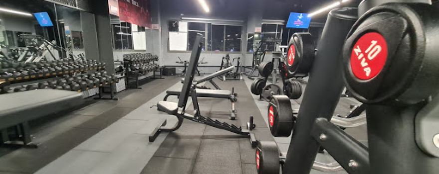 Sparta Gym+