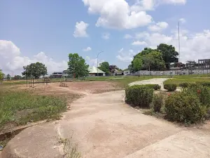 Paseo Río Atabapo