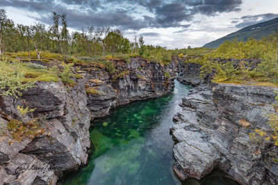 Kungsleden